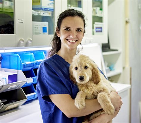 The value of hiring a veterinary scribe for your practice.